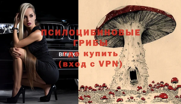 гашик Белоозёрский