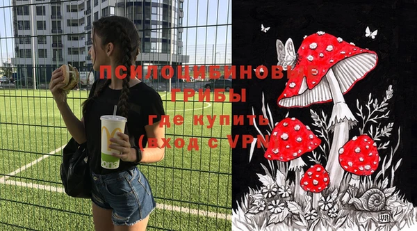 гашик Белоозёрский