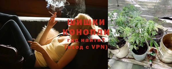 гашик Белоозёрский