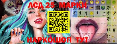mdpv Кимры