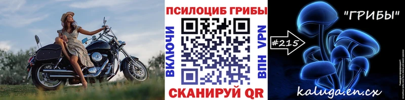 omg сайт  сколько стоит  Славгород  Галлюциногенные грибы Psilocybe 