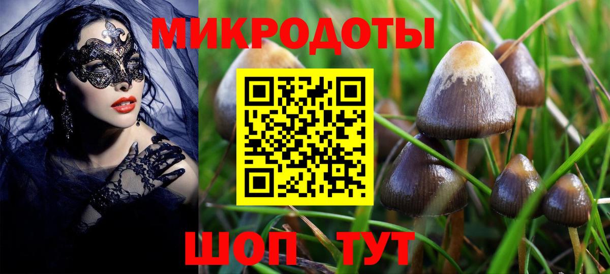 Псилоцибиновые грибы MAGIC MUSHROOMS Славгород
